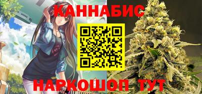 гидра Новокубанск