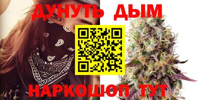 МДПВ Новодвинск