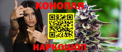 МДПВ Новодвинск