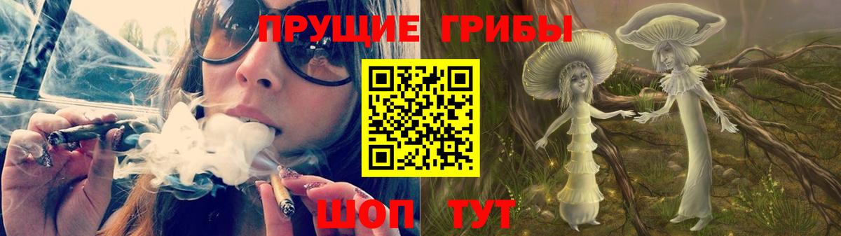 Псилоцибиновые грибы мухоморы Урус-Мартан